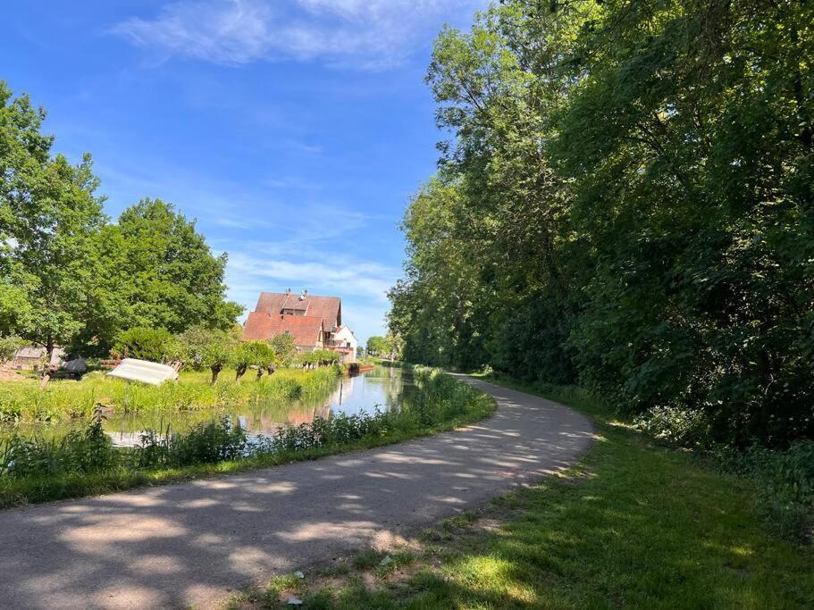 Le Jardin Paisible-Proche Centre Lägenhet Obernai Exteriör bild
